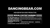 Dancingbear.com
